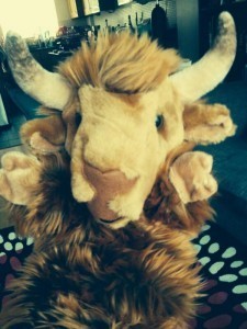 yuck said the yak