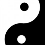 Should the product manager and product owner be the same person?