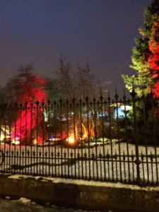 Magic in the Botanics 2