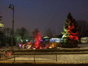 Magic in the Botanics 1