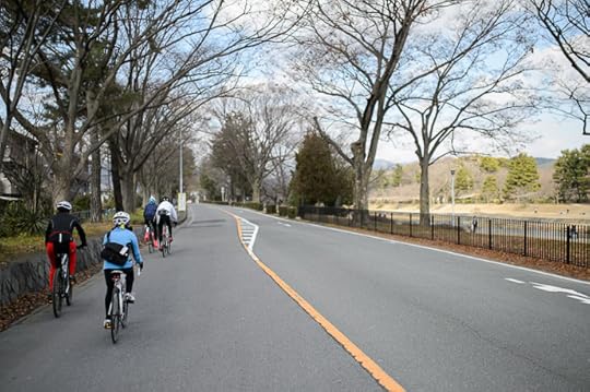 First Sight of Nature along the Kamo River (賀茂川) -- Kyoto, Japan -- Copyright 2015 Jeffrey Friedl, http://regex.info/blog/