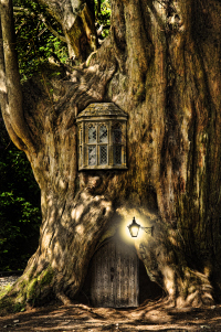 shutterstock_83611315