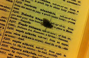 Crushed. That best describes it.