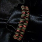 1509837_578901998877158_5780463081391151637_n