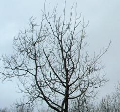 ???????????????????????????????