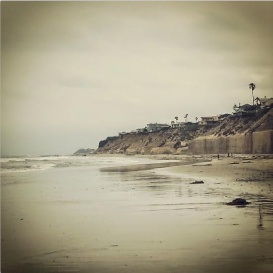 @amyturman-livespotlessentry2