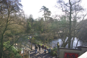 One view of the stream