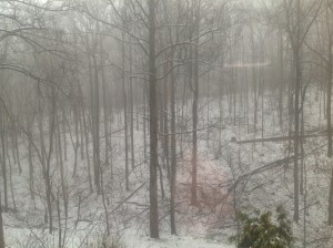 monday snow