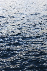 adrift on the water