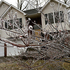 Icy morning in front of the ponderosa #Blacksburg