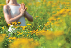 Day11-BonusDay - 2015 Tapping World Summit