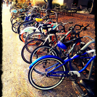 bikes filter
