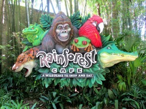 Rainforest Cafe at Disney's Animal Kingdom