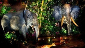Rainforest Cafe at Disney's Animal Kingdom
