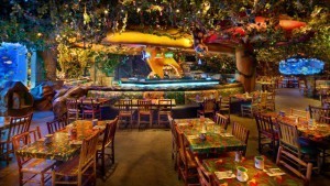 Rainforest Cafe at Disney's Animal Kingdom
