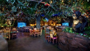 Rainforest Cafe at Disney's Animal Kingdom