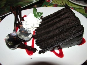 Rainforest Cafe at Disney's Animal Kingdom