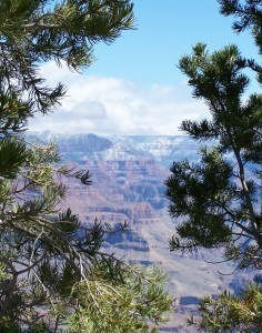 canyon_mar_2007 015