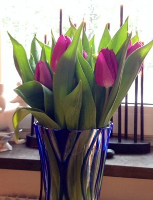 Jag fick tulpaner igår. DET ÄR JAG SÅ JÄVLA VÄRD.