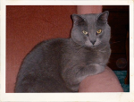 Michael is supporting Stark County Humane Society