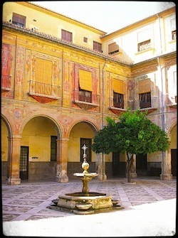 MINOLTA DIGITAL CAMERA