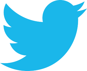 Twitter-Bird