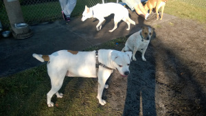 Windows Phone_20141025_001