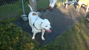 Windows Phone_20141025_002