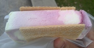 Icecream sandwhich Amazing Singapore Foods