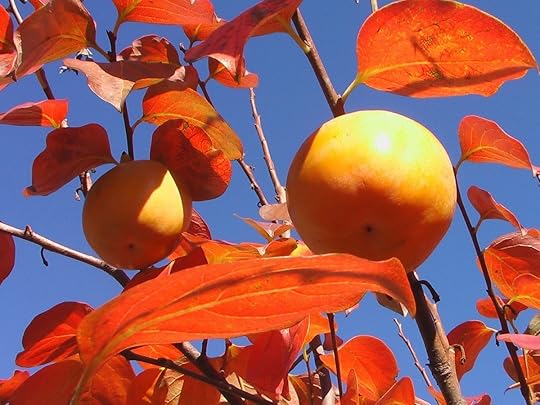 Bonne semaine à tous. N’oubliez pas de profiter pleinement de chaque instant