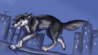  photo ef4cf13c-141a-41b1-8851-c84c20755aaf_zpswpewdyav.jpg