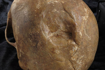 Denmark skull