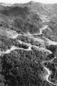Aerial view of the first convoy to go from India to China over the re- opened Burma Road. (US Army Center of Military History)