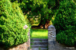 step up and see what's around that corner