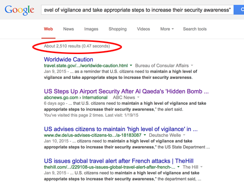Google search for State Department travel warning