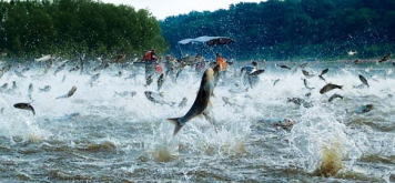 Screen Shot 2015-01-28 at 6.34.16 PM