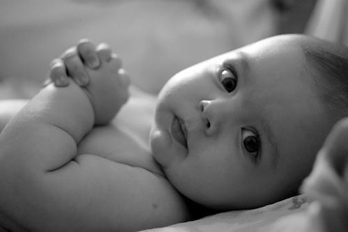 The Witness by Sandra Brown Goodreads The Witness by Sandra Brown Goodreads