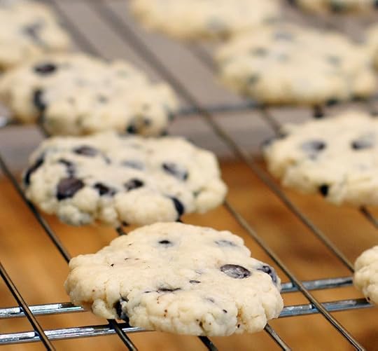 Stevia Sweetened Chocolate Chip Shortbread - vegan and sugar-free | HeathySlowCooking.com