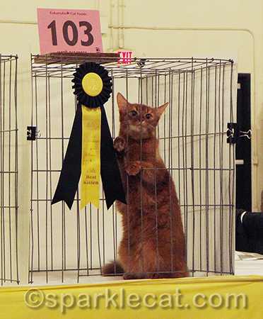 I know there are more ribbons in her future!