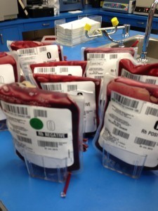 blood thread-blood bags 2