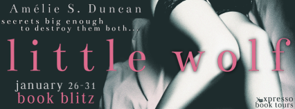 LittleWolfBlitzBanner1