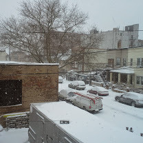 Snowy Day_Tues Jan 27 2015