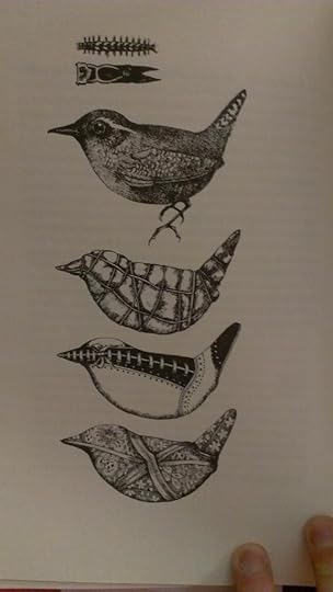  photo IMAG0759_zpsfguodctp.jpg