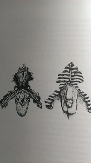  photo IMAG0760_zpshmtzf5gh.jpg