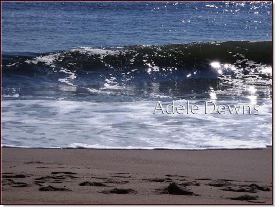 lewesbeachsigned