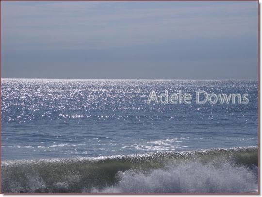 lewesbeachsignedphoto2