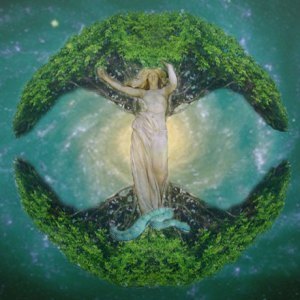 home-world-tree-revised