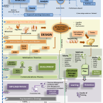 Instructional Systems Design [Infographic]