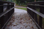 follow your own path