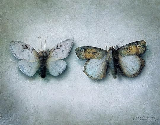 Insectia: Symmetry by Julia Gukova